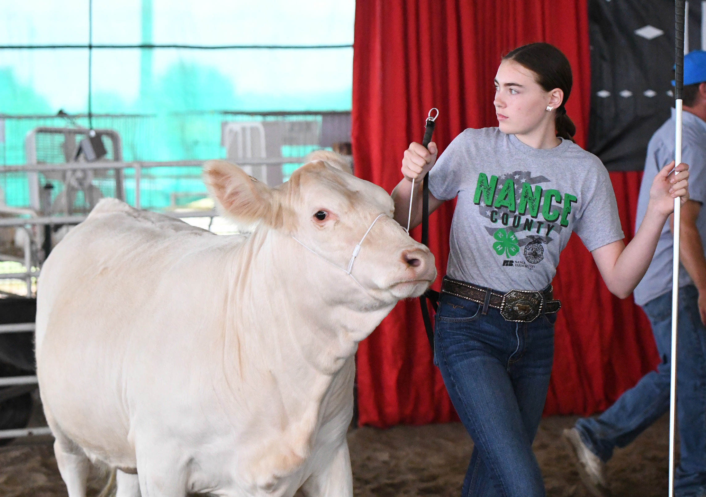 ABOVE: Lora Sonderup competes in the Beef Show on Saturday at the Nance County 4-H Expo. BELOW: Luke Sonderup talks about his animal during the Poultry Show on Friday. NCJ photos by Rick Holtz