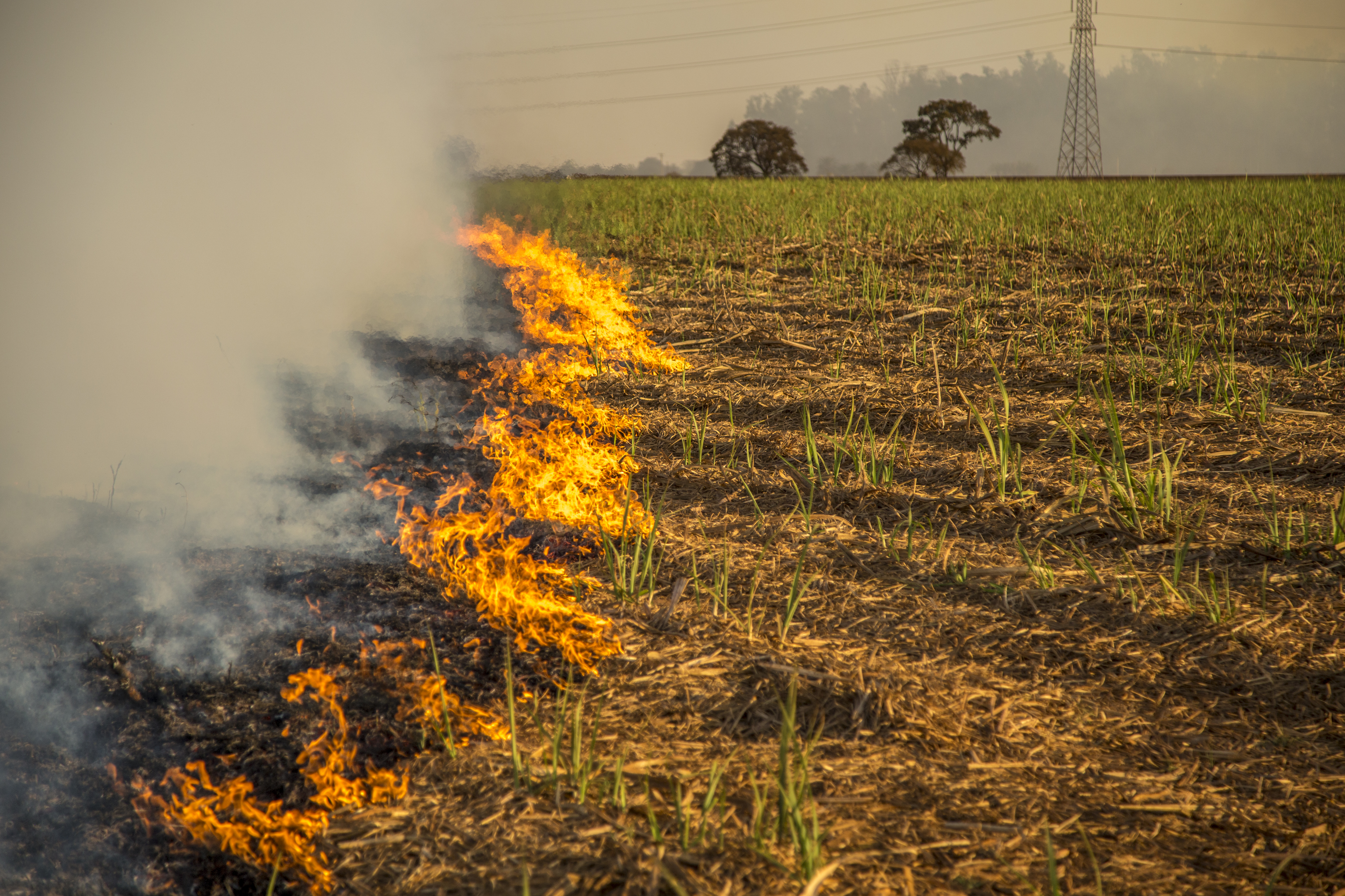 Be sure to call the fire chief to get a permit before you start an open burn. Photo illustration