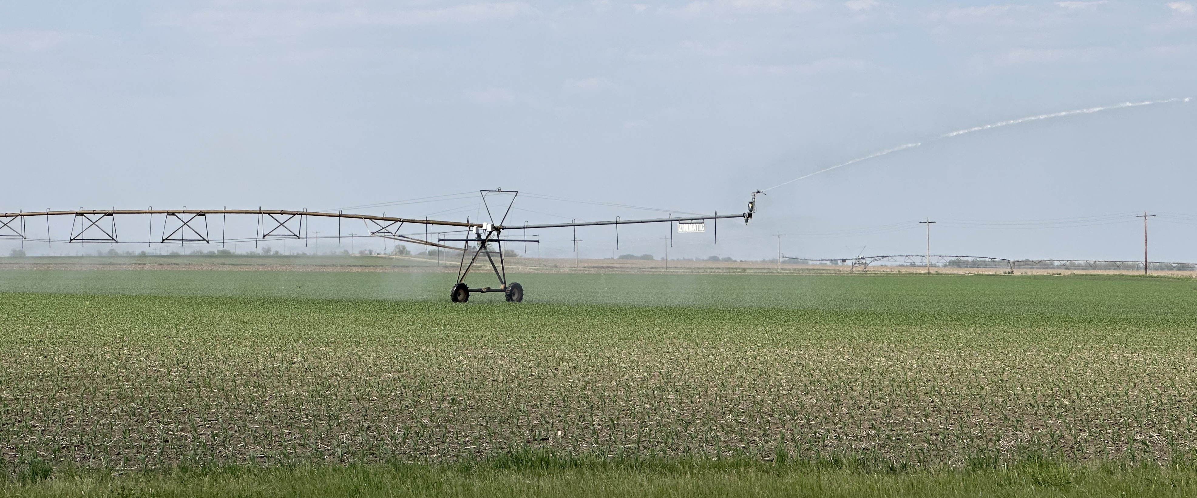 Area farmers are being forced to turn to pivots and irrigation after a dry May. Recent rainfall will help, but farmers have to overcome a dry start to the season. NCJ photo by Rick Holtz