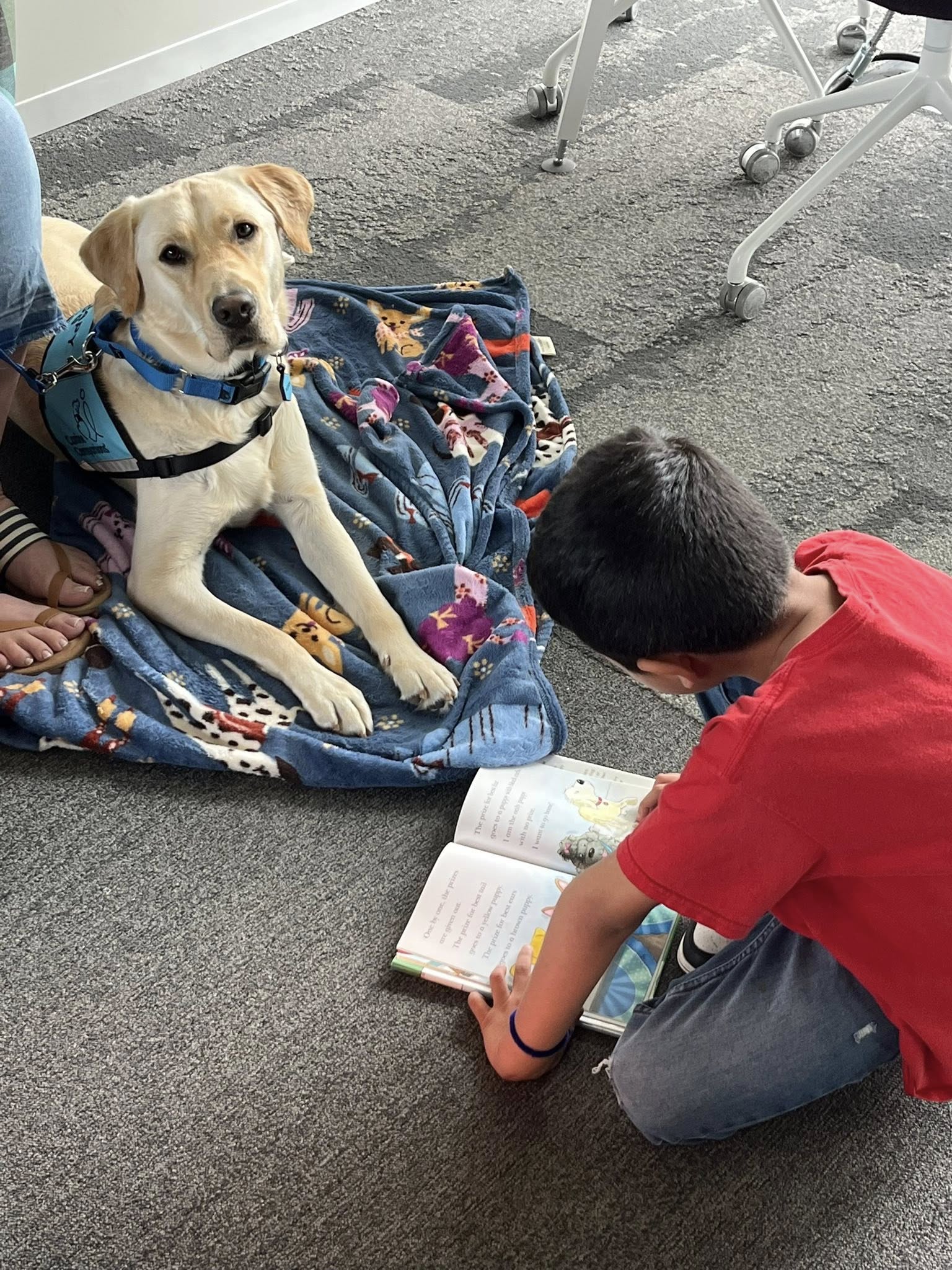Fletch will be coming to the Fullerton Public Library after Labor Day. Photo provided