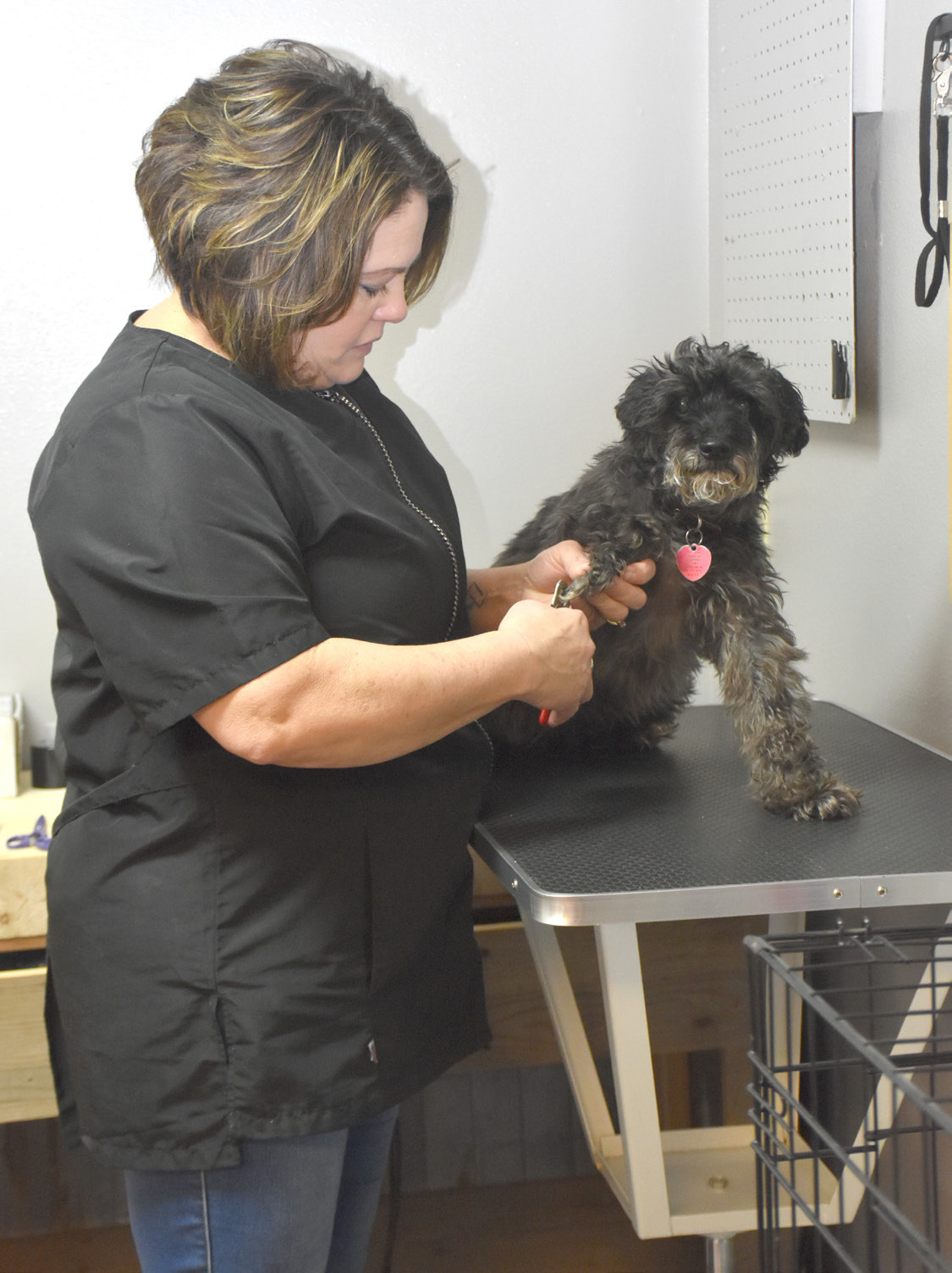 Amy Renken with The Posh Pup trims Murphy’s nails. NCJ photo by Beth Sparrow