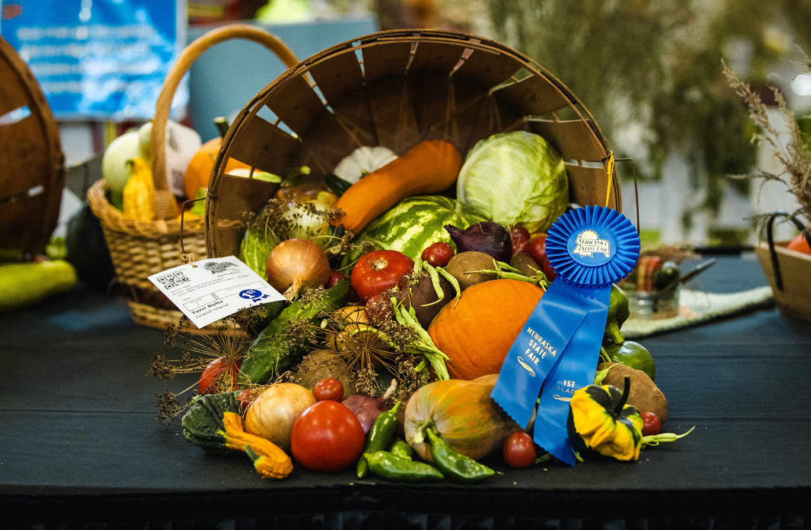 The state fair saw a lot of growth in 2024. Photo illustration