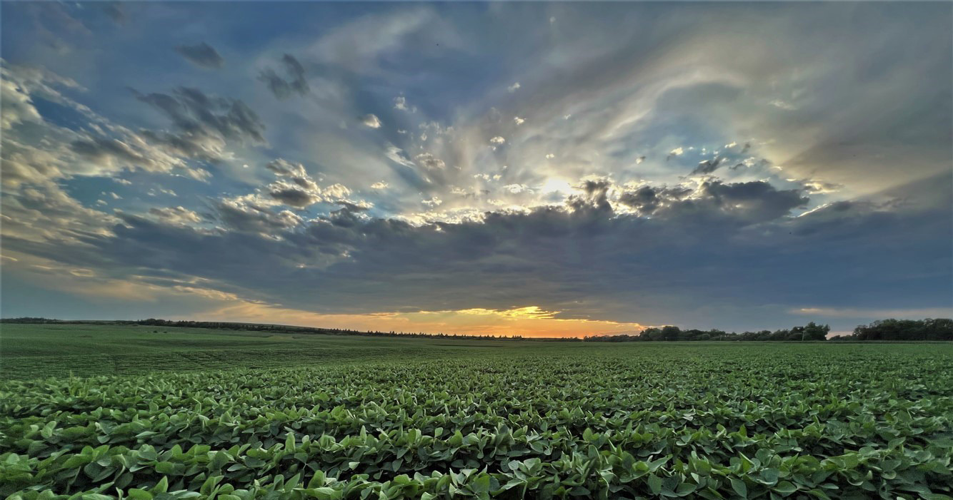 Last year’s contest was won by rural Valley County resident Robyn Koelling. Photo provided