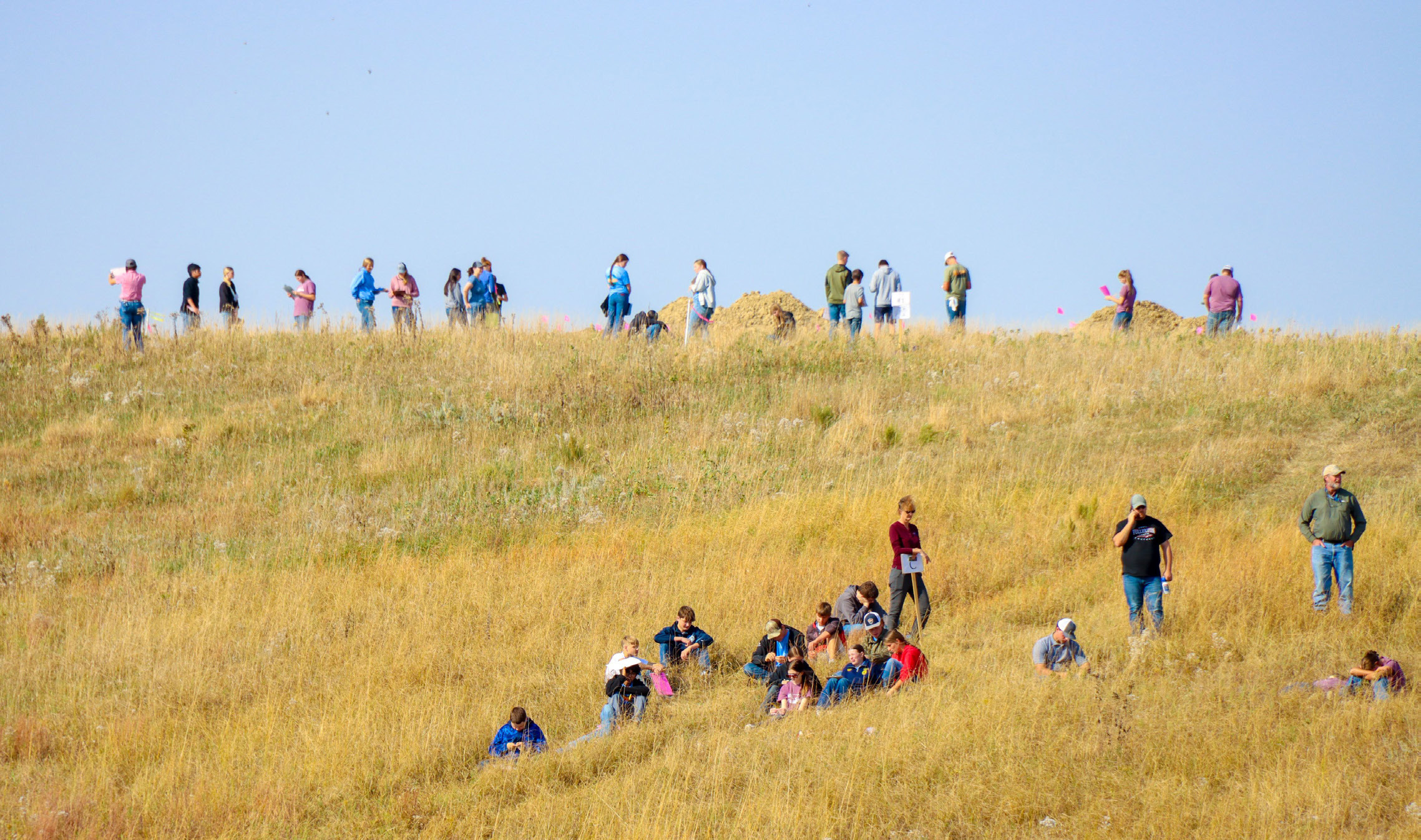 The 2024 North Central Land Judging Contest took place October 9. The event hosted by the Lower Loup NRD and Natural Resources Conservation Service took place near Albion on land owned by Norm and Darlene Reynoldson. Photo provided