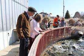 Kapels Last Resort owner Cliff Kapels, feeds his trout a bag of food. In addition to raising trout, Kapels sells a variety of meats and snacks