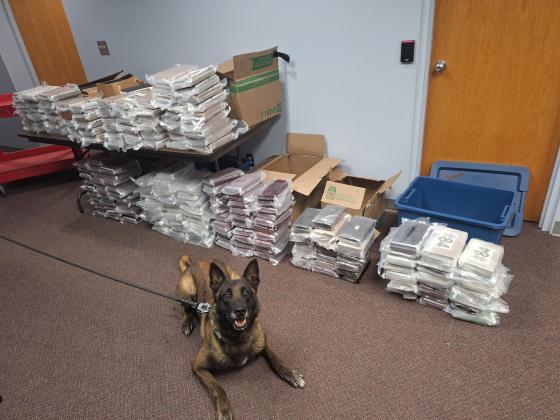 NSP K9 Gable. Photo provided