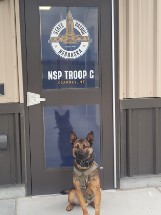NSP Police Service Dog RJ. Photo provided