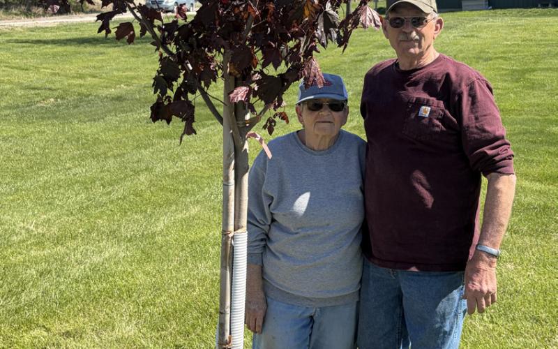 Veterans Museum receives donations