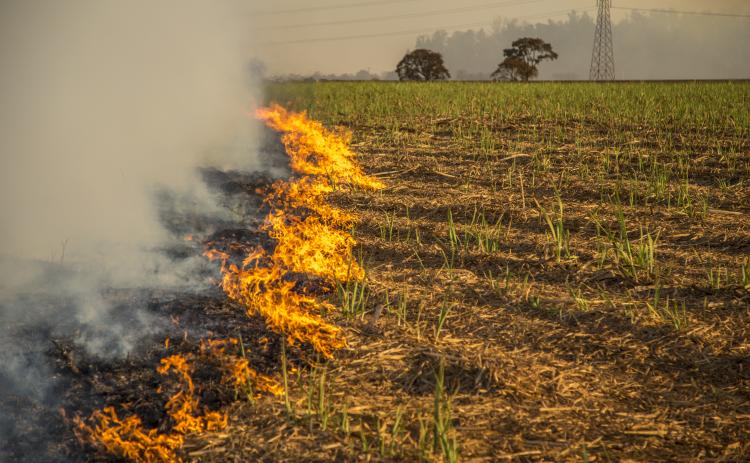 Be sure to call the fire chief to get a permit before you start an open burn. Photo illustration