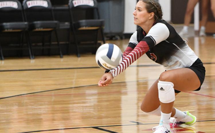 Lainie Ziemba finished with a team-high 8 digs against Sutton. NCJ photo by Rick Holtz