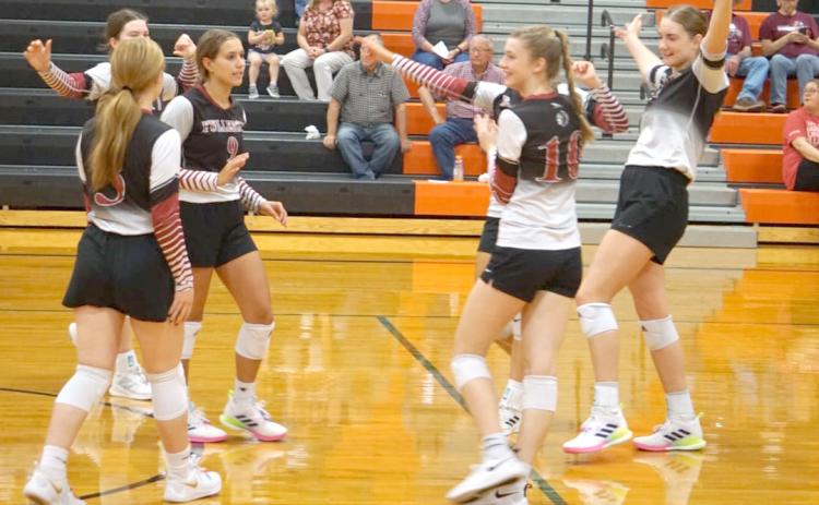 Fullerton celebrates after winning a point against Chambers/Wheeler Central. NCJ photo by Cathy Cook