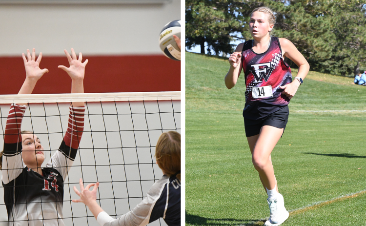 Jaci Maxfield (top left), McKenna Plumbtree (top right), Morgan Supik (bottom left) and JLee Van Driel (bottom right) join Delaney Reeg to make up the girls NCJ All-Area First Team. NCJ file photos