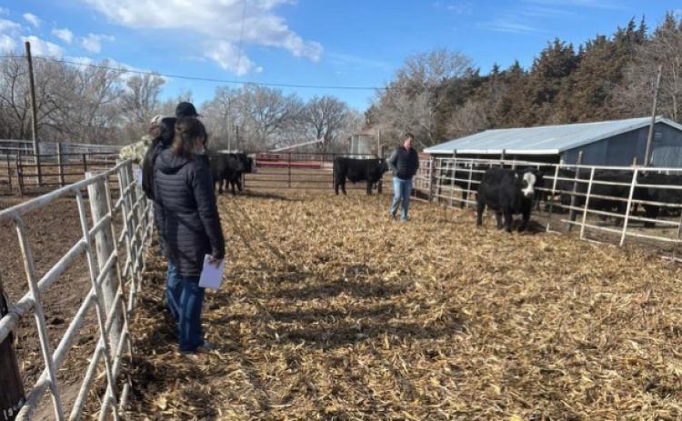 Livestock judging team stops in Nance County