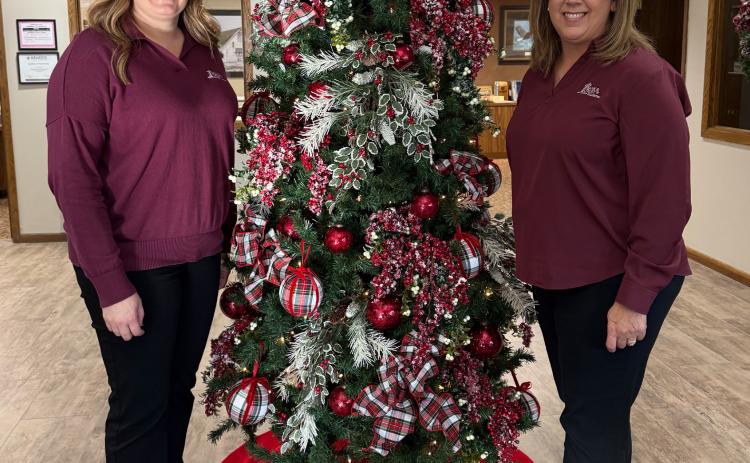 Beth Sonderup (left) and Lori Cornwell stand next to the Tree of Love located inside the 1st Bank &amp; Trust branch in Fullerton. NCJ photo by Rick Holtz