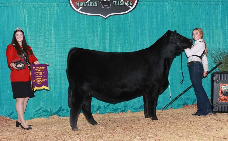 2025 National Junior Angus Show
