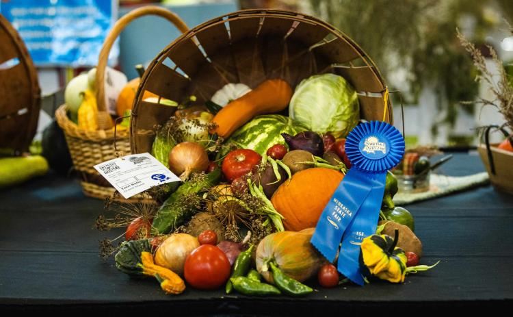 The state fair saw a lot of growth in 2024. Photo illustration