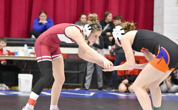 Taylor Cook wrestled on Saturday at Boone Central in Albion. NCJ photo by Rick Holtz