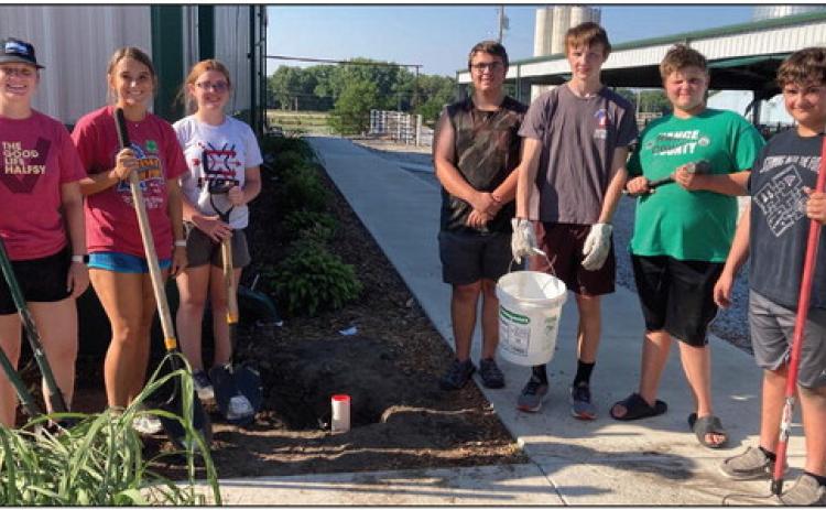 Club members that assisted with the project include Paige Wood (left), Keila Dubas, Peyton Thomas, Derek Warner, Landen Glup, Colton Harris and Riley Williams.