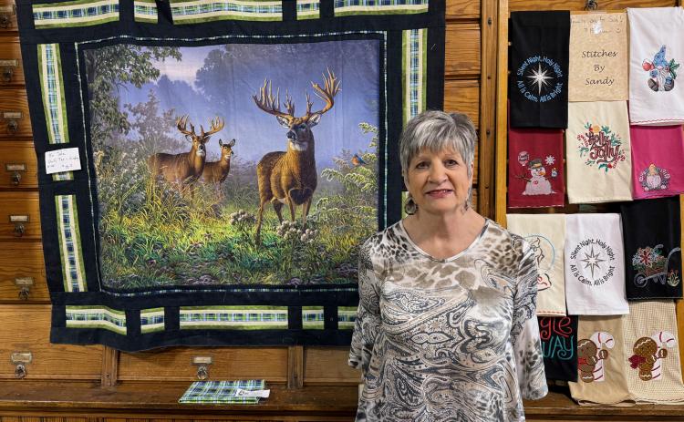 Anne Wemhoff has decided the time is right to retire and move into a new phase of life. She has owned and operated Calico Annie’s Quilt Shop since 1999. NCJ photo by Rick Holtz
