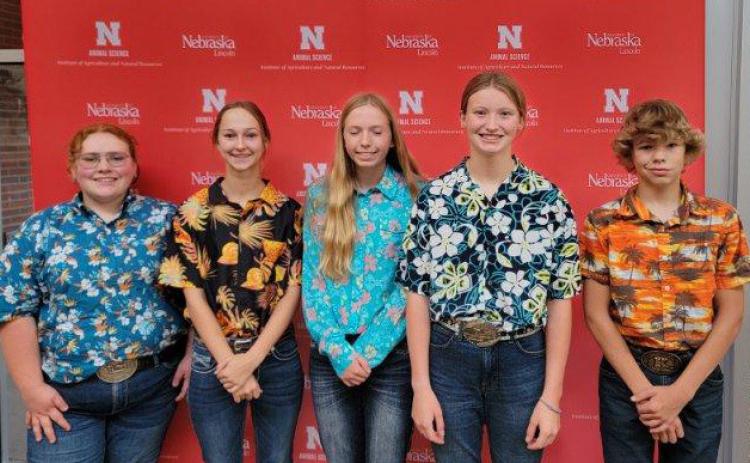 4-H’ers top competition in livestock contests