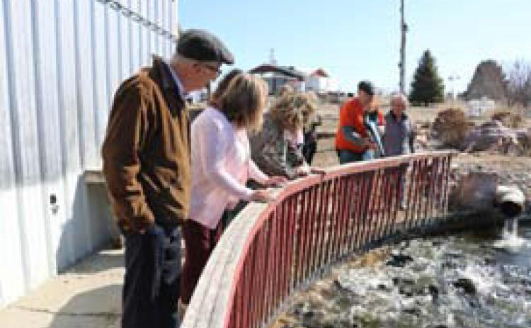 Kapels Last Resort owner Cliff Kapels, feeds his trout a bag of food. In addition to raising trout, Kapels sells a variety of meats and snacks