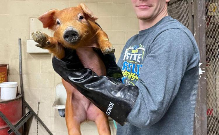 BRETT BRIDGER giving ‘Ralph’ a bath at the petting zoo. Photo credit Ms. Wettstein