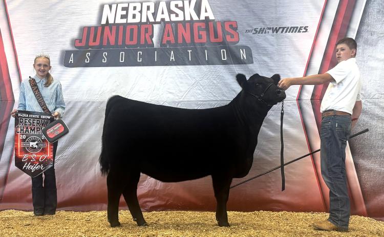 2026 Nebraska State Junior Angus Show