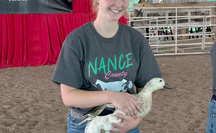 Fullerton grad Elena Reimer has worked as an extension intern this summer. Last week she saw the other side of the Nance County Fair. NCJ photos by Rick Holtz