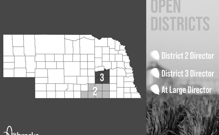 Nebraska Corn Board Seeks Candidates for Vacancies